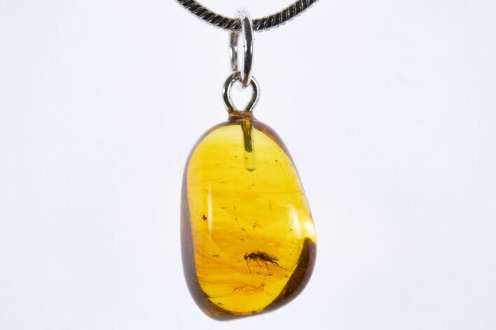 Polished Baltic Amber Pendant (Necklace) - Contains Fly! #339594